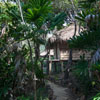 Jungle Bungalows